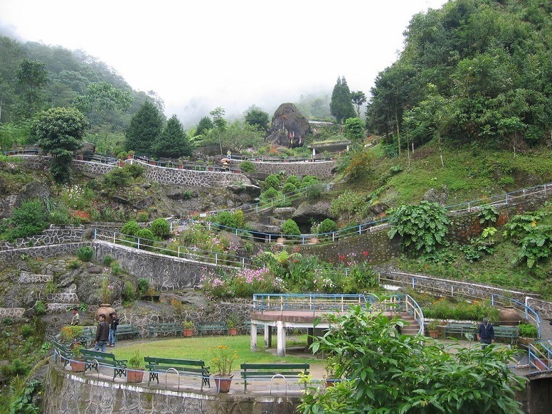 Pine View Nursery